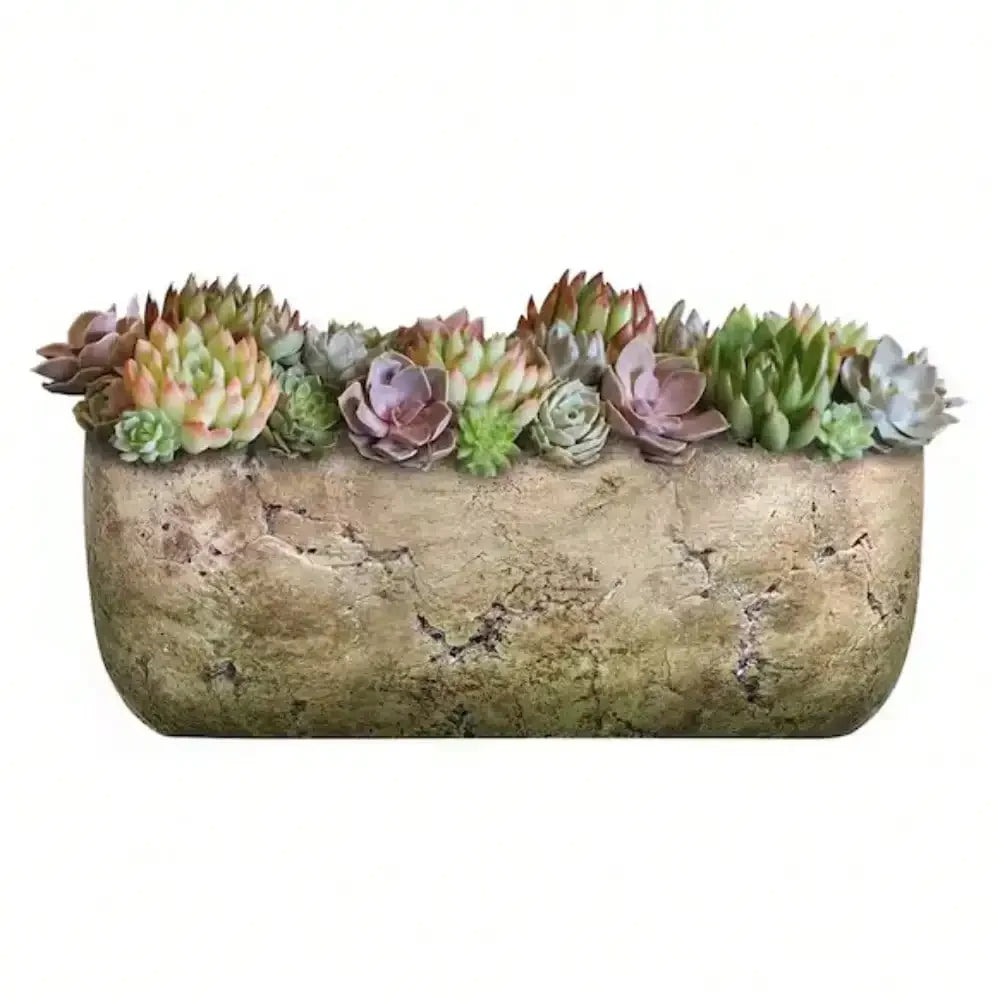 8 Inch Earth Moss Cement Plant Pots For Indoor DIY Decor