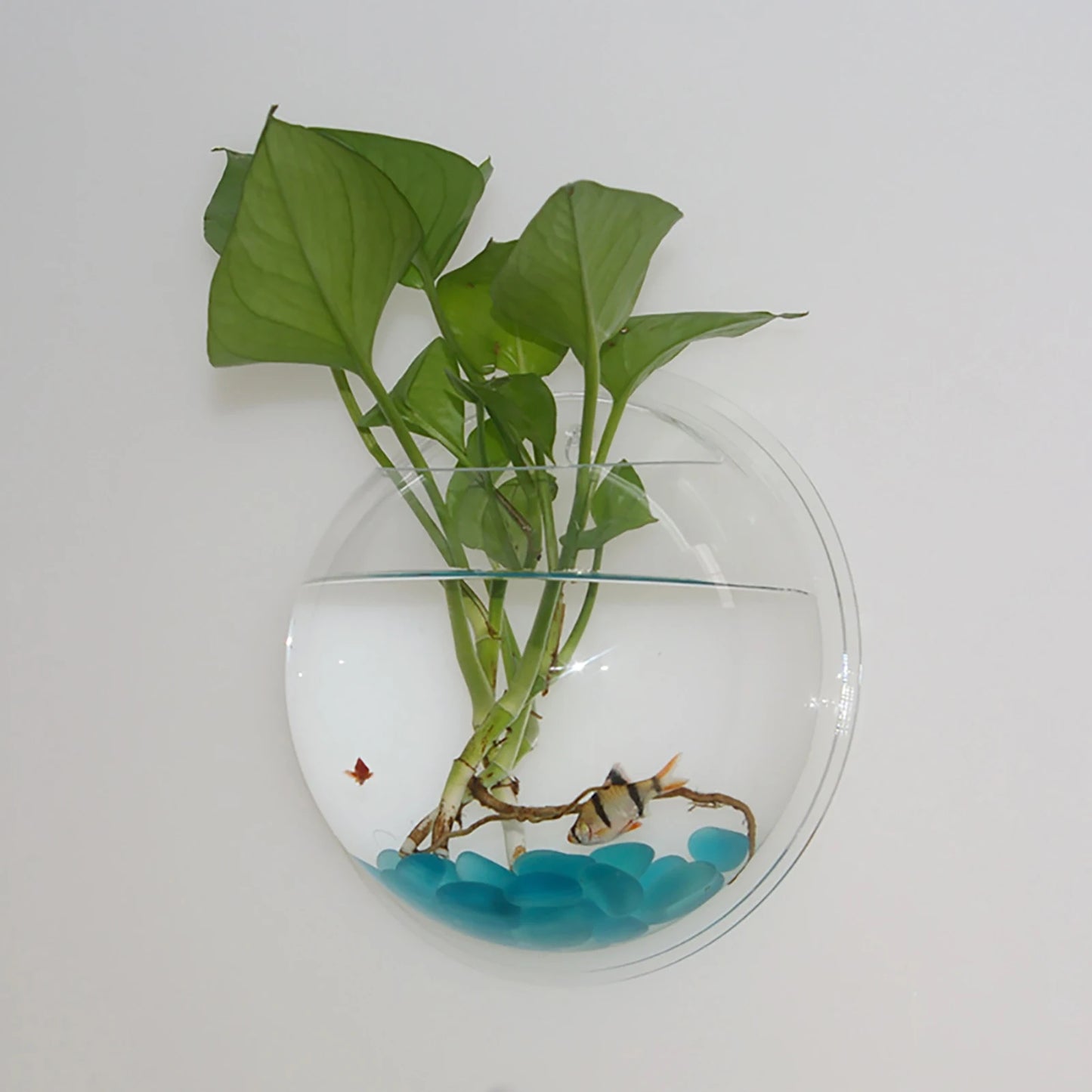 Wall Mounted Fish Tank Vase Acrylic Plant Holder Decor