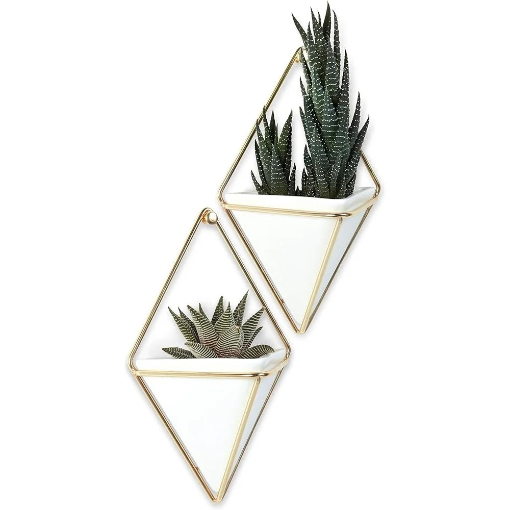 Modern Wall Planter Set 2 Hanging Pots for Succulents
