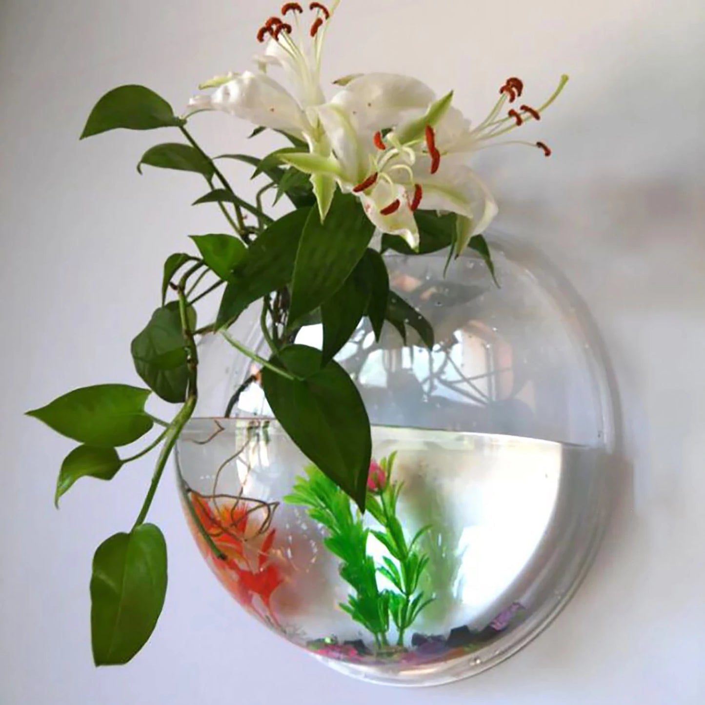 Wall Mounted Fish Tank Vase Acrylic Plant Holder Decor