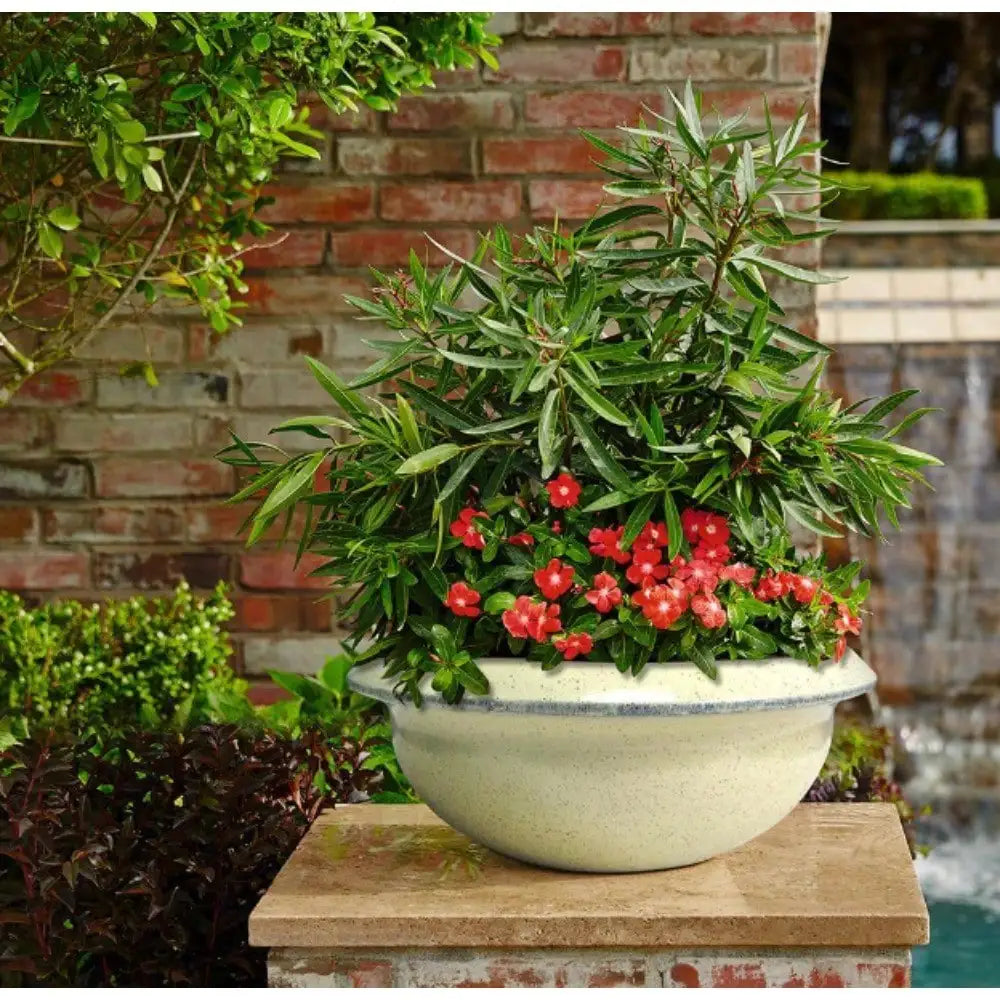 Plant Pots Indoor Outdoor Windowsill DIY Wedding Favors