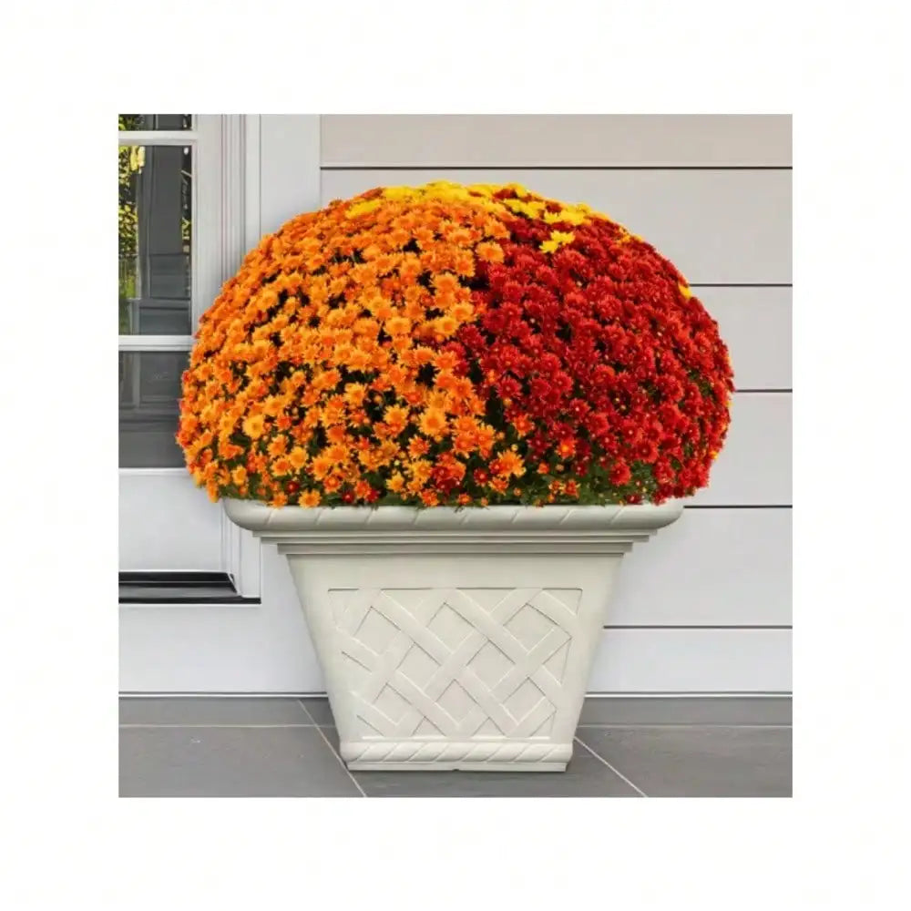 UV Coated Plant Pots All Weather Indoor Outdoor Durable
