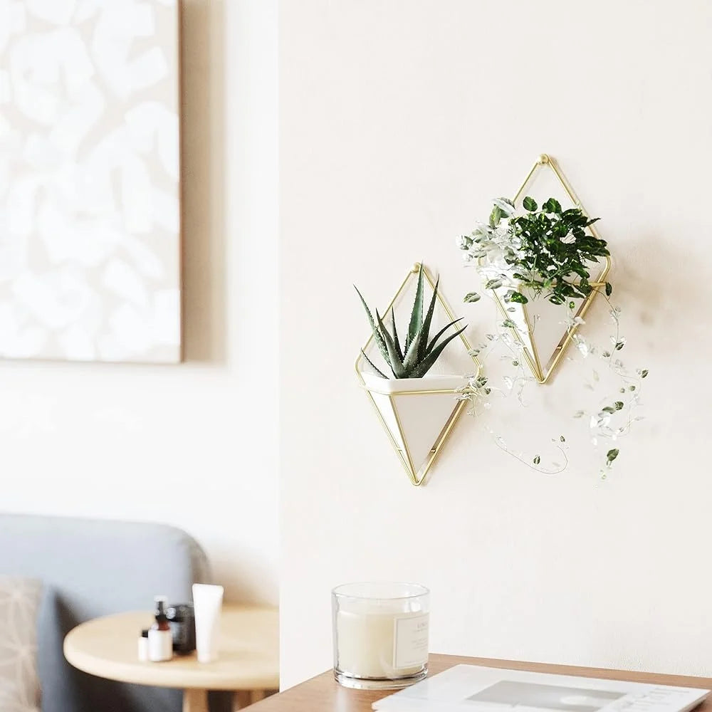 Modern Wall Planter Set 2 Hanging Pots for Succulents