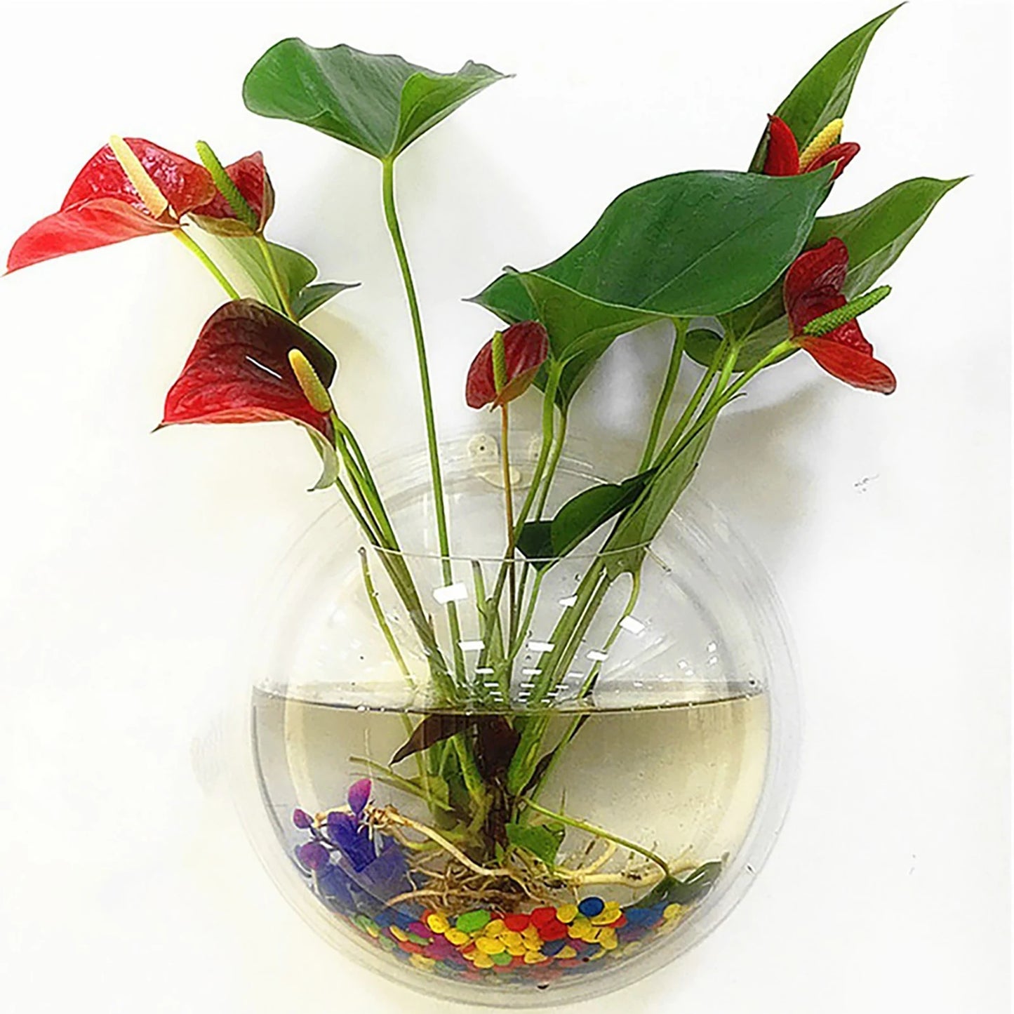 Wall Mounted Fish Tank Vase Acrylic Plant Holder Decor