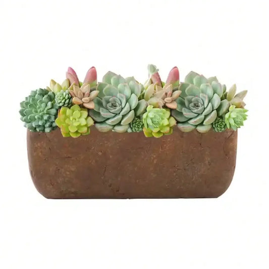 Rust Cement Trough Planter 8 Inch Indoor Windowsill Pots